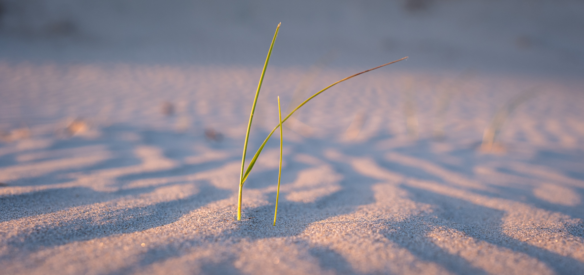 2025 05 15  xt 5   2366